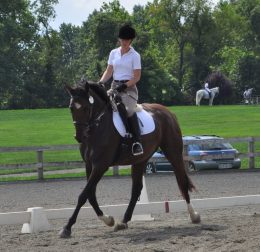 baron954779_10151610534947572_276597430_n