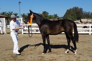 Snapchat-20140915094046