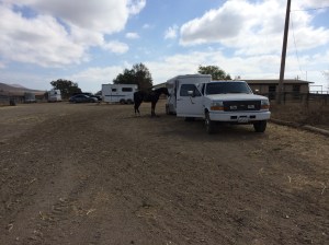Yeager chilling before a lesson.